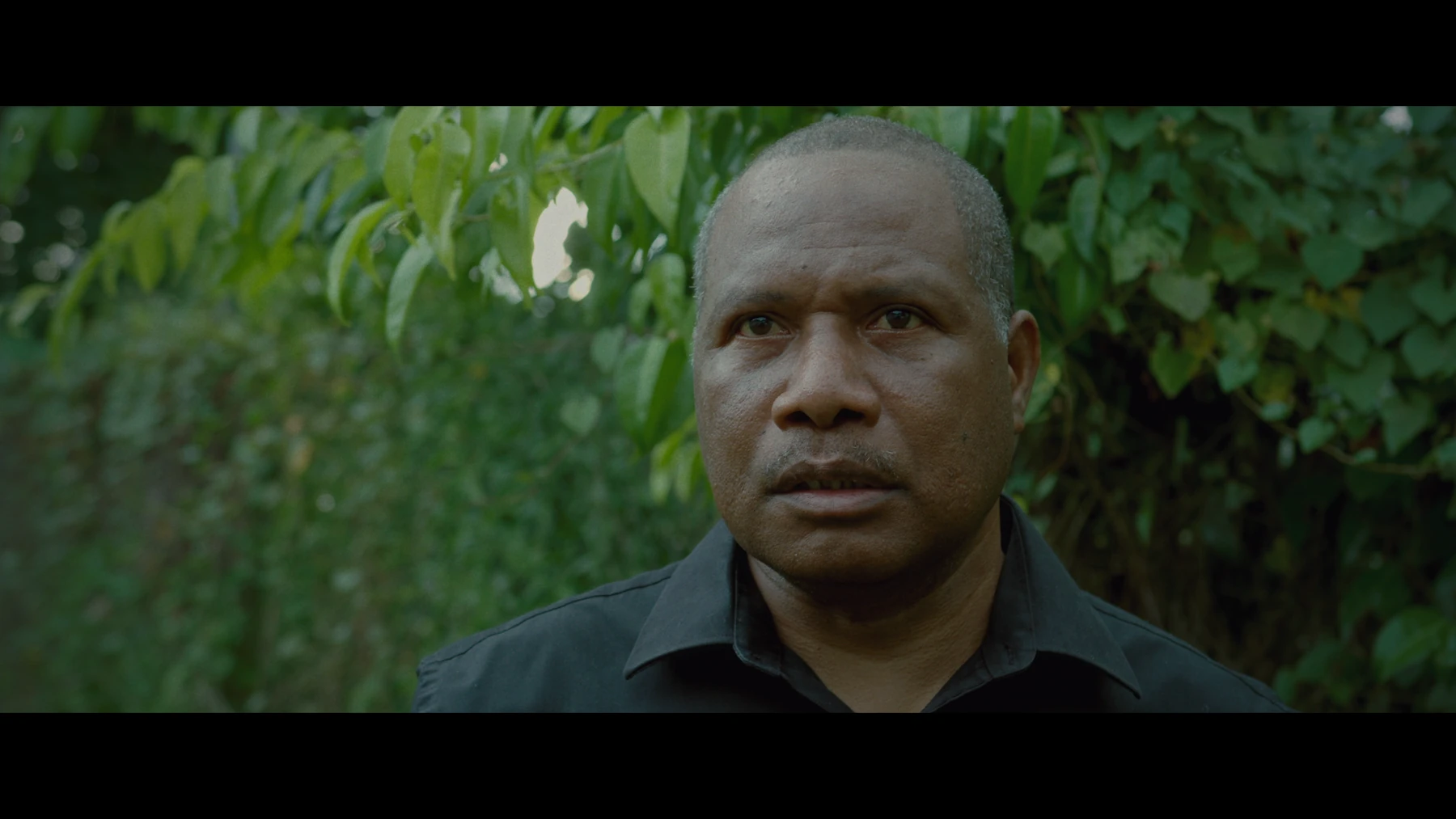Film still: a man in a forest setting